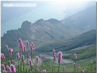 Brienz (le Rothorn) Suisse