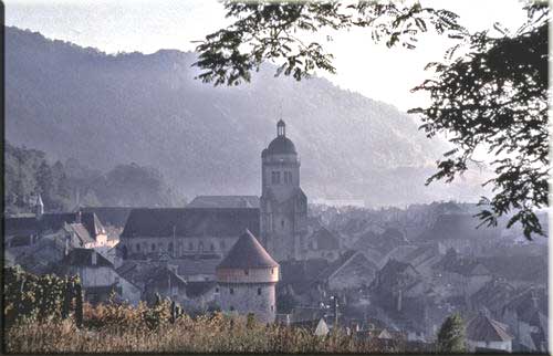 église collégiale de Poligny
