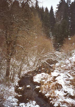 Le ruisseau de la Grange à l'Olive