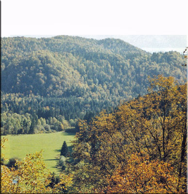 l'Oppidum d'Alésia, depuis la plaine de Syam