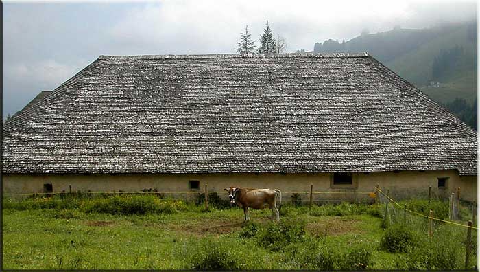 fromagerie de Vaulruz, Suisse