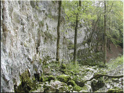 source du Bief de la Ruine, à Foncine le Bas