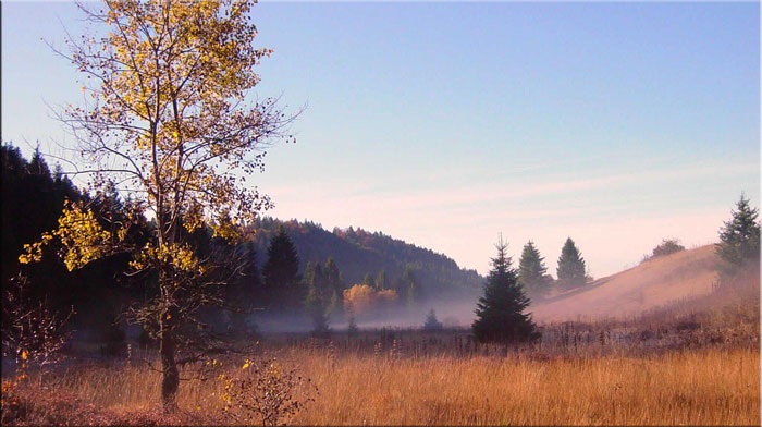 Tourbière de Frasne (photo Bernard Girard)
