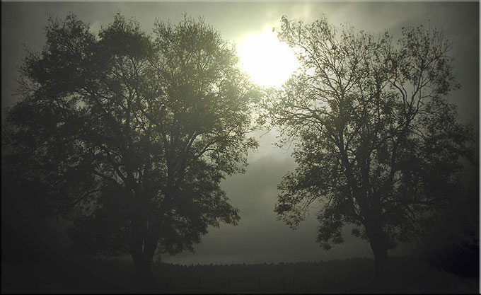Chaux des Crotenay (octobre 2007)