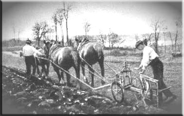 charrue Brabant