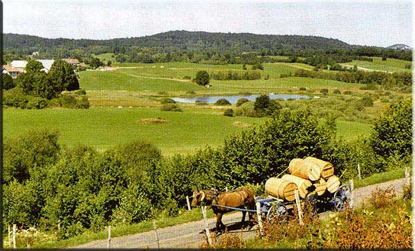 photo : "les amis du Grandvaux", auteur Jean-Louis Grillet