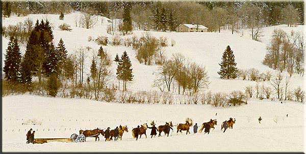 photo : "les amis du Grandvaux", auteur Jean-Pierre Thouverez